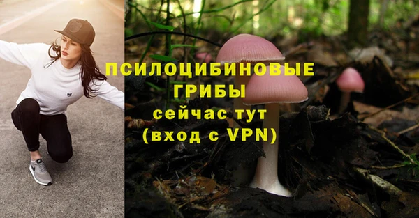ECSTASY Абдулино