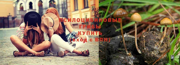 герыч Абаза
