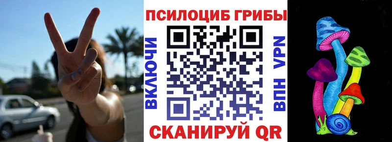 Псилоцибиновые грибы мухоморы  Тайга 