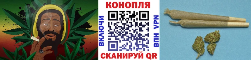 Бошки марихуана OG Kush  Тайга 